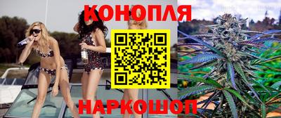 прущий лед Будённовск