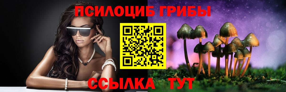 Заречный  Псилоцибиновые грибы ЛСД  Псилоцибиновые грибы GOLDEN TEACHER  Вход с VPN 