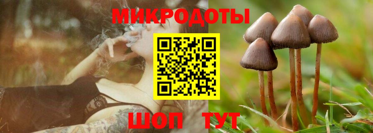 Галлюциногенные грибы GOLDEN TEACHER Заречный